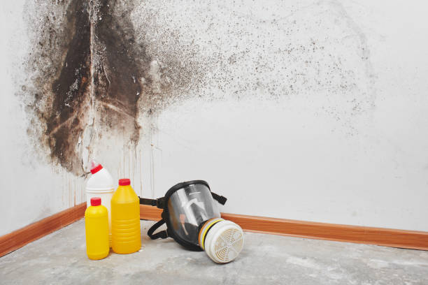 Best Certified Mold Removal  in Burns, OR