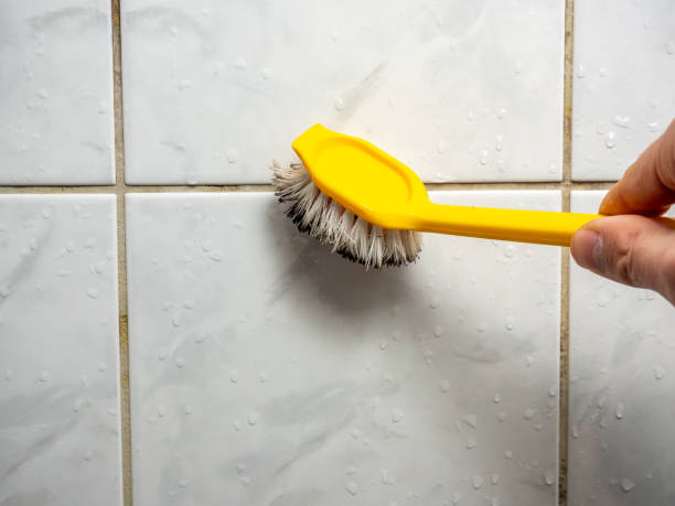 Best Mold Remediation Experts  in Burns, OR
