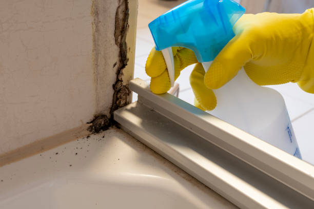 Best Crawl Space Mold Removal  in Burns, OR