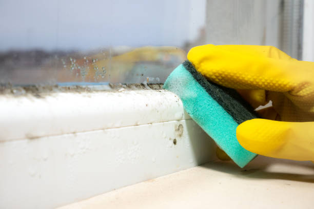 Best Residential Mold Removal  in Burns, OR