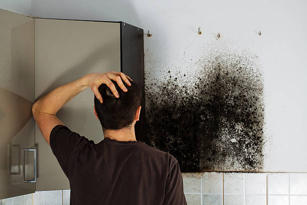 Best Mold Testing  in Burns, OR